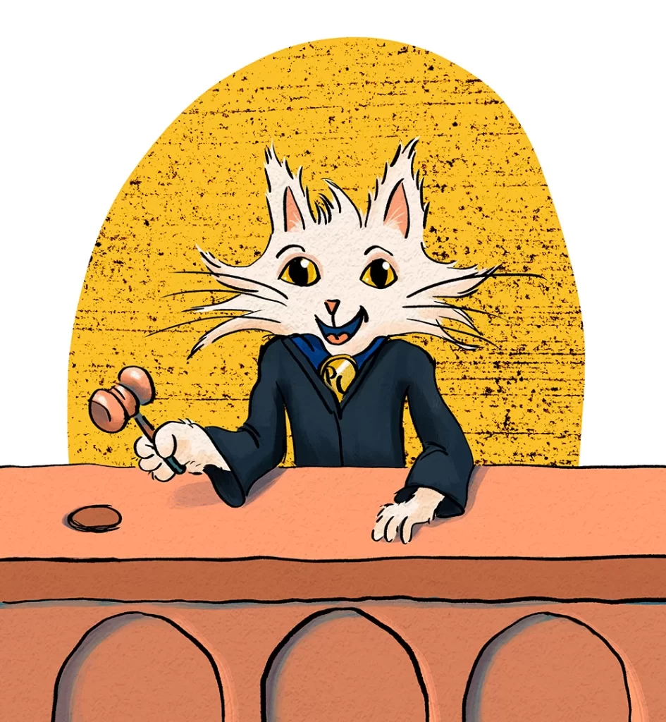 First Principles - Process Cat