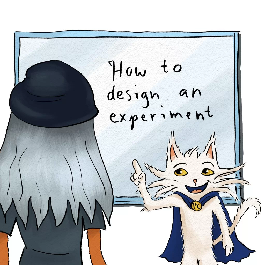 Process Cat's going to teach us all about experimental design!
